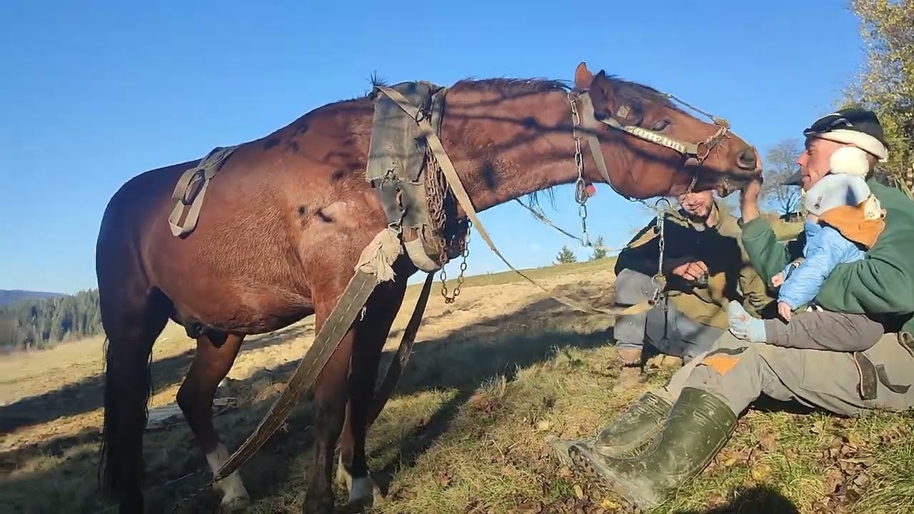 Two days of rural life in the highlands of the Carpathian