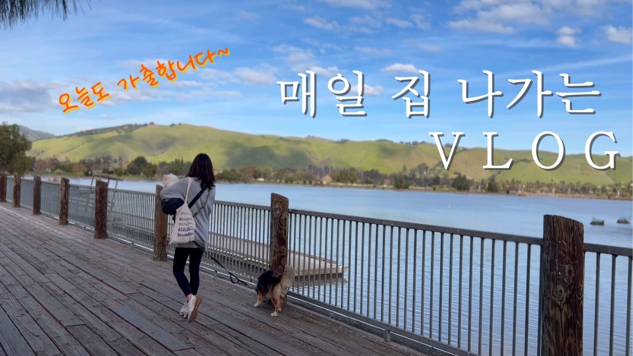 캘리포니아 이사 3주차/ 돈주고 산 날씨 즐기는 법/ 매일가출/ 집 구해서 또 이사갑니다/ 미국시골에서 빵굽다 도시로 이사온 50대엄마 vlog