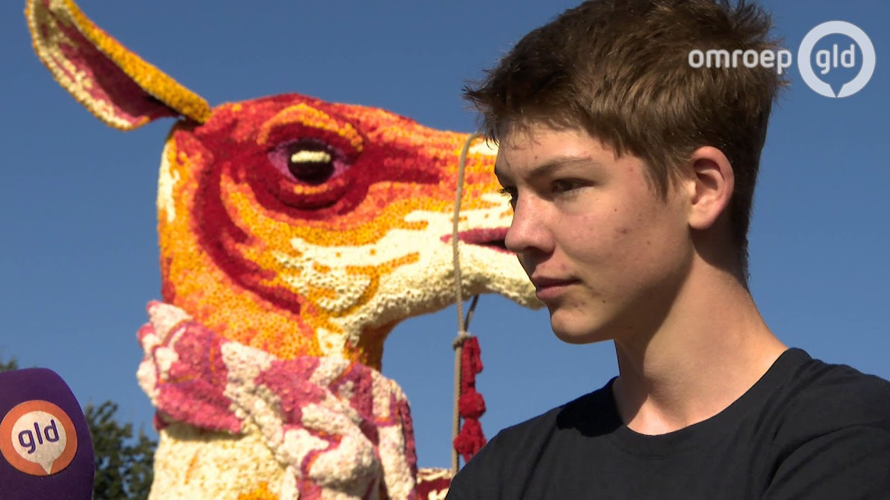Bloemencorso Lichtenvoorde 10 september 2017 - Samenvatting