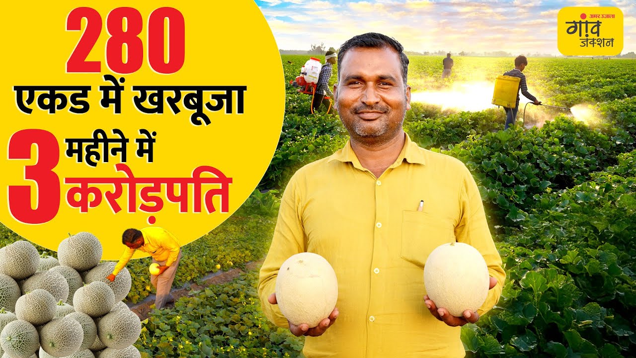 3 महीने में करोड़ों का कारोबार! बिना अपनी जमीन के ऐसे की खरबूजे की खेती | Kisan Success Story