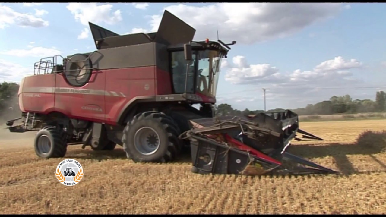 Massey Ferguson Centora 7382 AL combining spring barley and carting with Fendt 718 Vario.