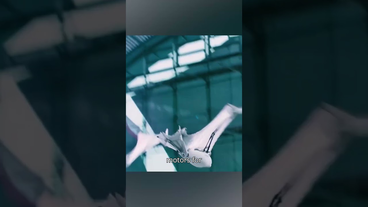 REAL Robot Bat Takes Flight?!