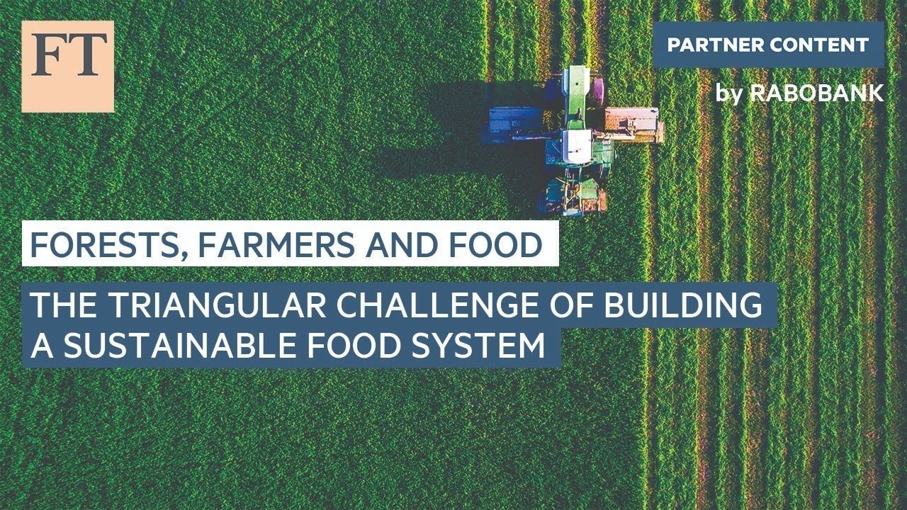 Треугольная задача создания устойчивой продовольственной системы | FT Food Revolution
