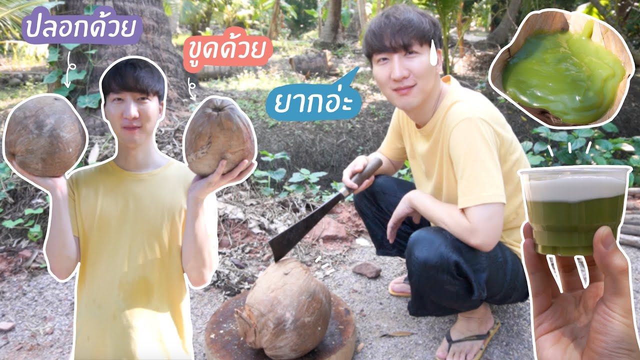 [211] ยิ่งลำบาก ก็ยิ่งอร่อย ปอกมะพร้าว 2 ลูก เหนื่อยมากครับ : โอปป้า อยู่ที่บ้านนอก▕   RYUNTIME