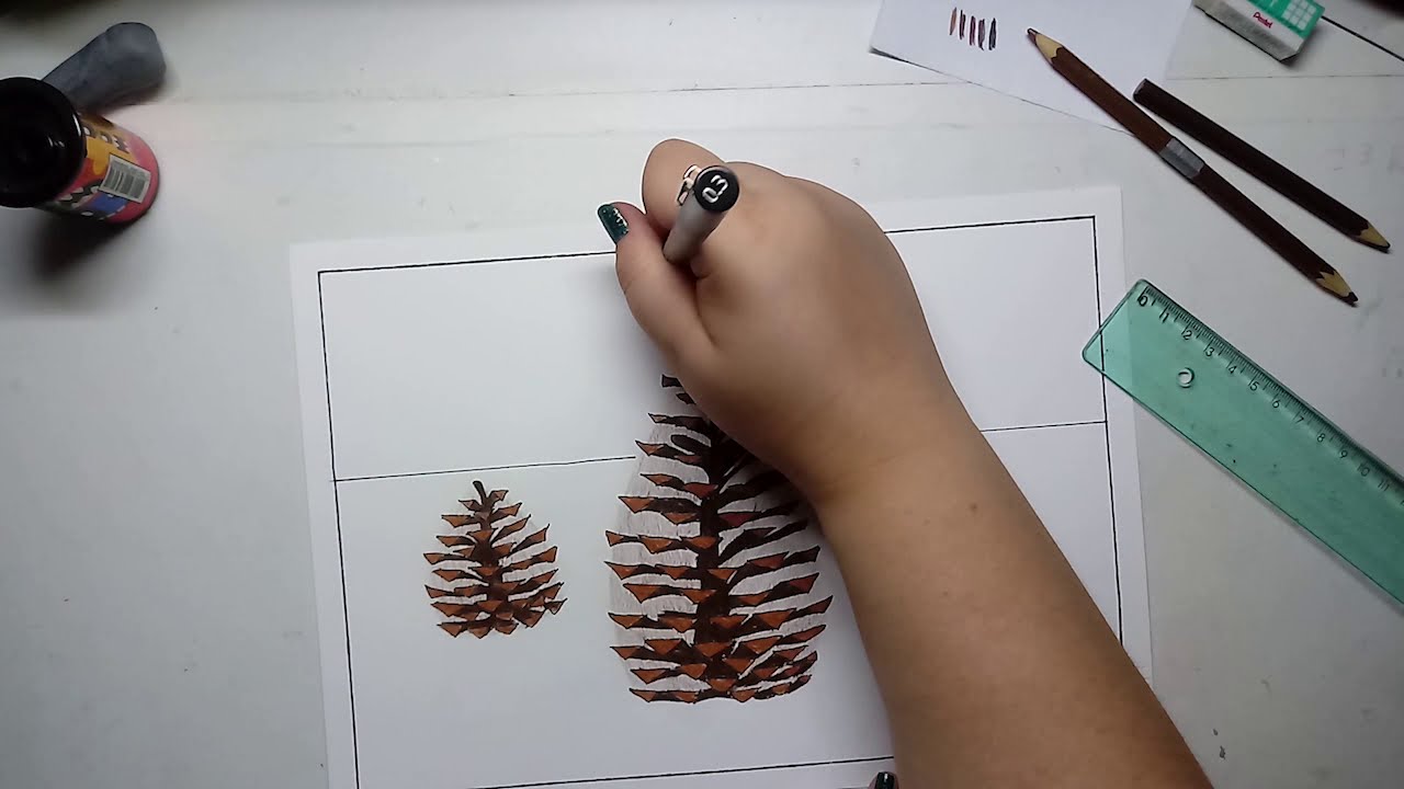 DESENHO - PINHA