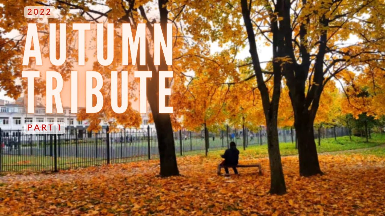 Autumn Tribute 2022 - Part 1 | Fall Colors in St. Petersburg, Russia