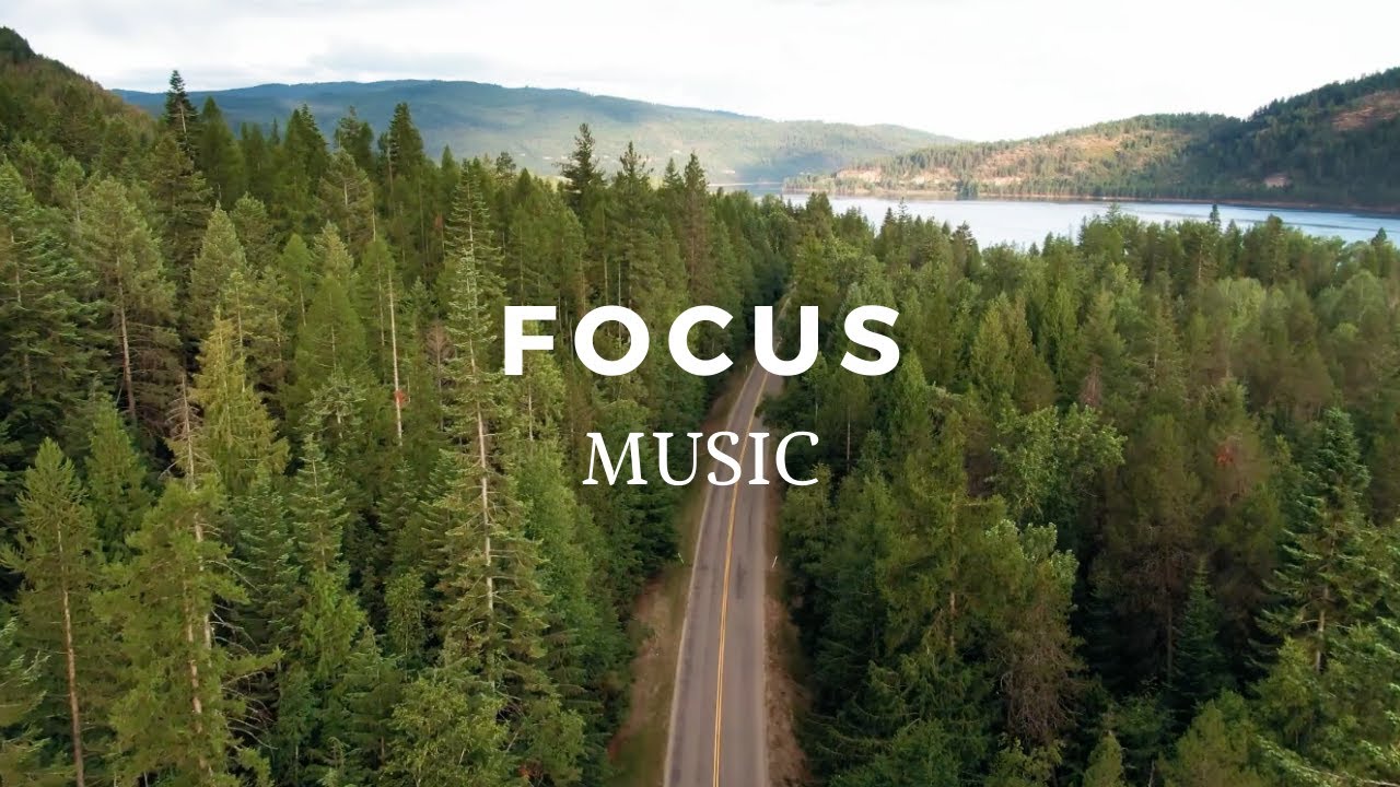 Mindful, Focus Music for Relaxation and Instant Stress Relief - Nature, Forest