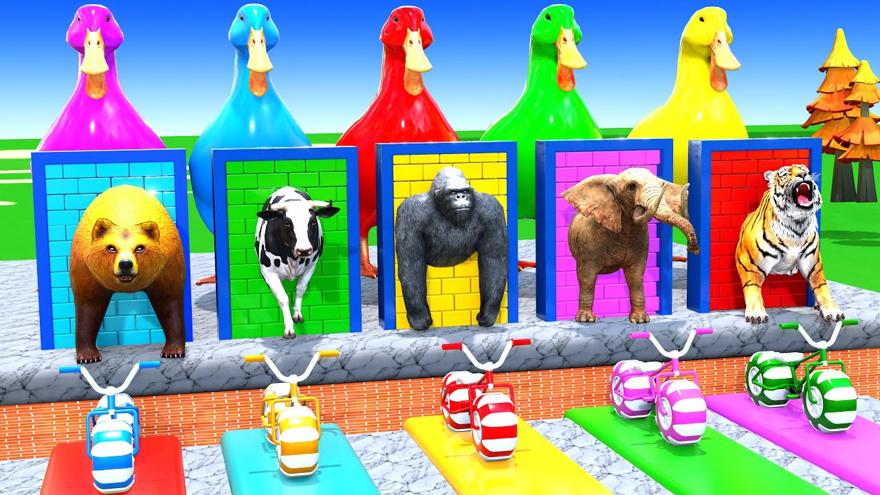 Long Slide Game with Cow Elephant Gorilla Hippopotamus Tiger 3d Animal Game Funny 3d Animals