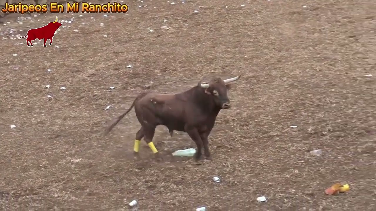 La viga michoacan jaripeo 12-23-24 parte 2