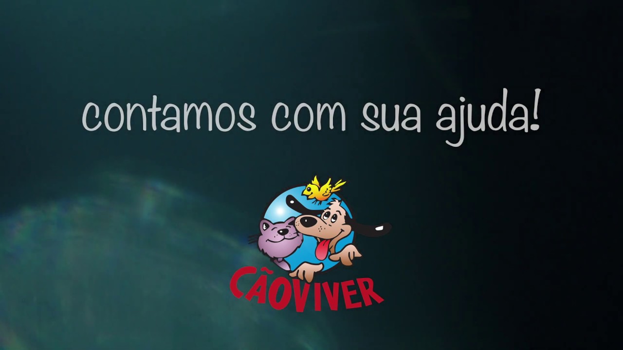 Cão Viver - Meu canil, minha vida!