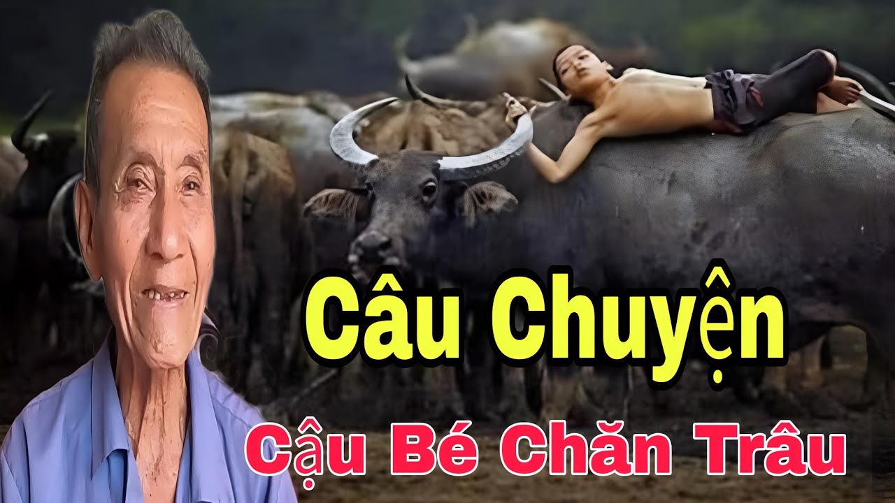 Câu chuyện Cậu Bé Chăn Trâu...