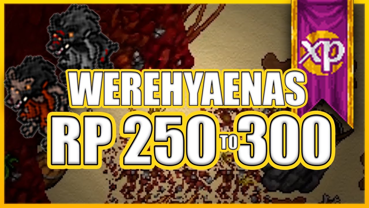 RP 250 to 300 – Werehyaenas [XP/Profit] | Where to hunt Paladin | Tibia