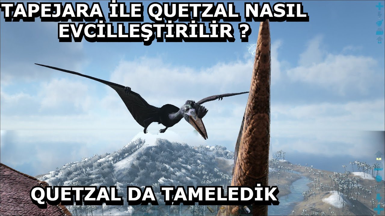 QUETZAL MIII ? | Ark Mobile Türkçe | Öğretici Brutal | Quetzal Tapejara ile Nasıl Tamelenir