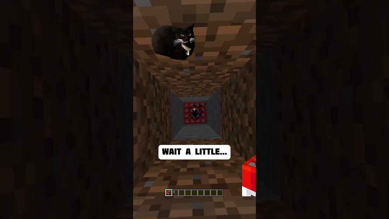 🤣EVERYONE DID THIS TNT IN MINECRAFT🧨#shorts #minecraft #tnt #tntmod