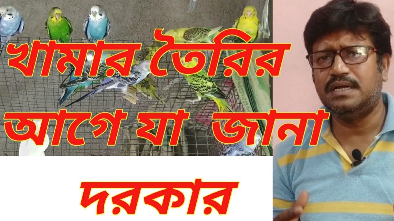 পাখির খামার তৈরির প্রস্তুতি || Birds farming business for beginners || Preparation of birds farm ||