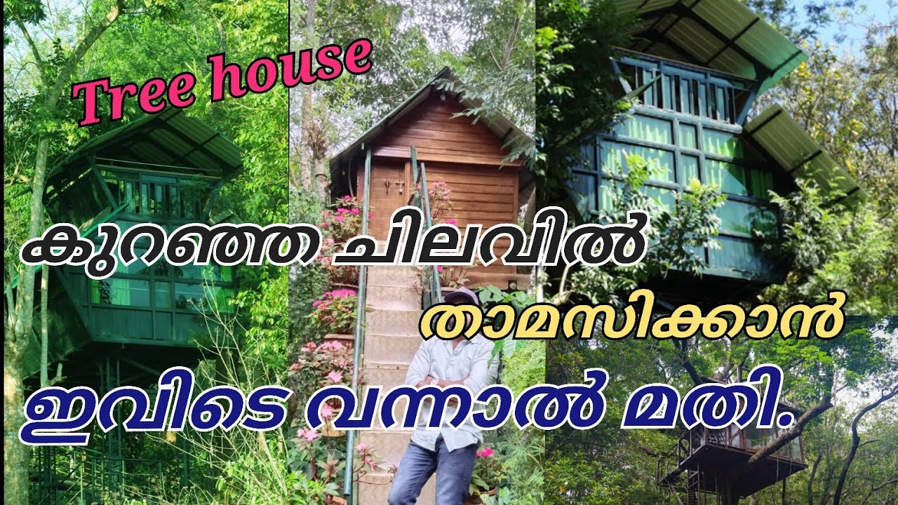 ഫാമിലി ആയി പോയി അടിപൊളി ട്രീ ഹൌസിൽ താമസിക്കണോ/#tree house/low budget resort in wayanad