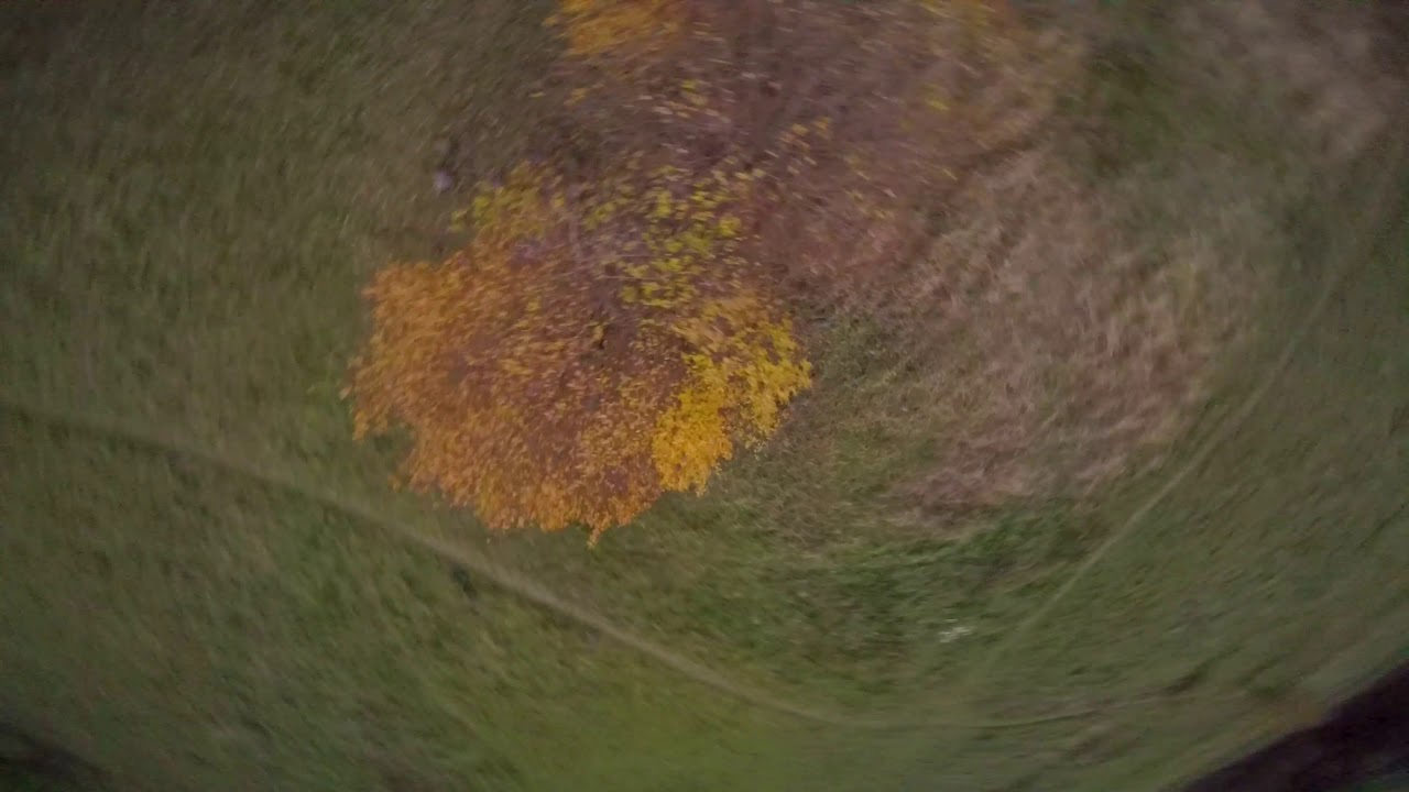 Dem Fingers Are Freezing I Tattu Funfly 1550 I FPV Freestyle