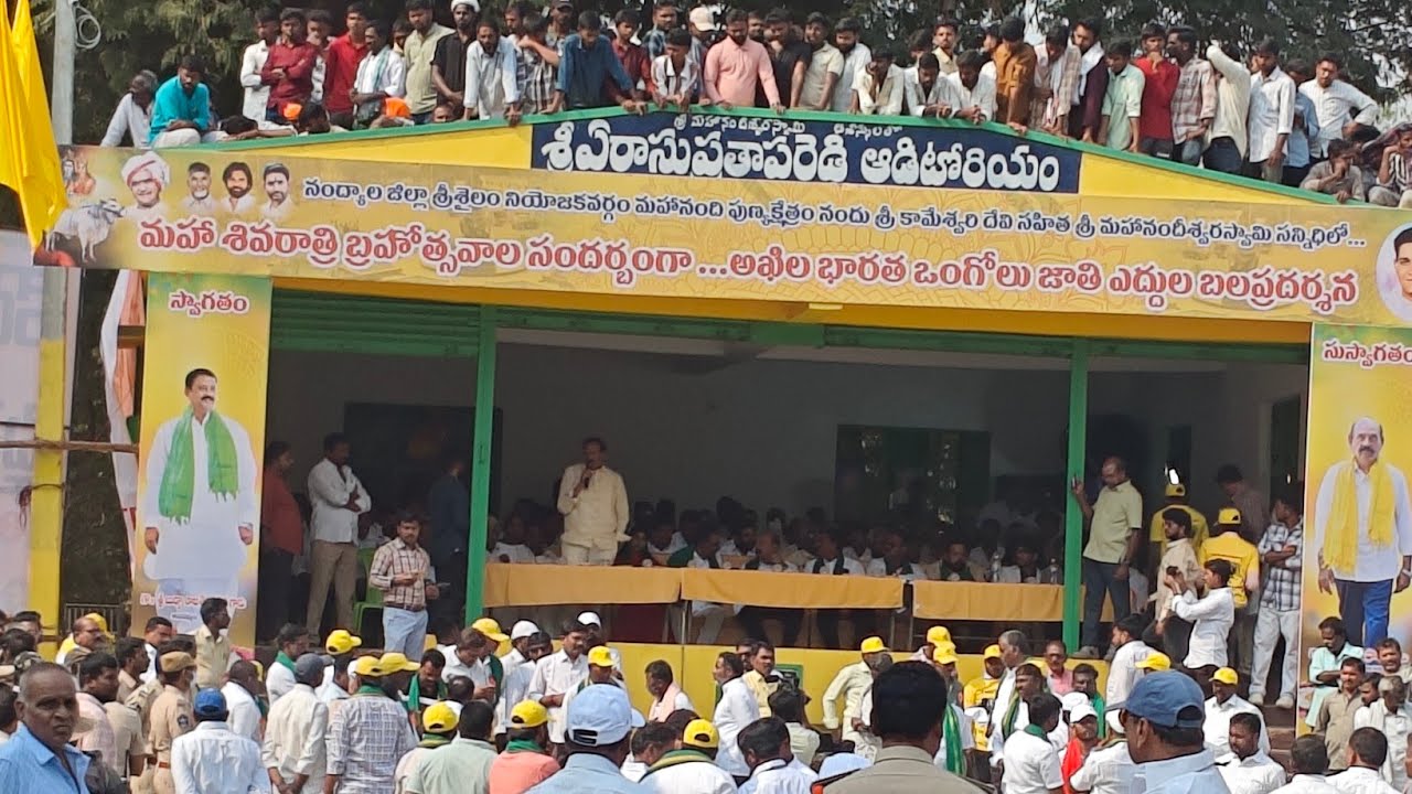 మహానంది సీనియర్స్ విభాగానీకి 1వ జత (BRKR & MKM ) బుల్స్ 🦁🦁🦁