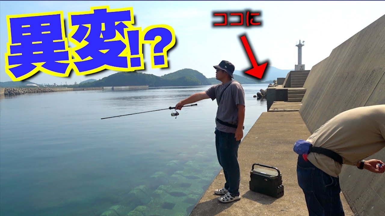 やっと辿り着いた根魚連発の秘境に異変が起きていて・・・！？