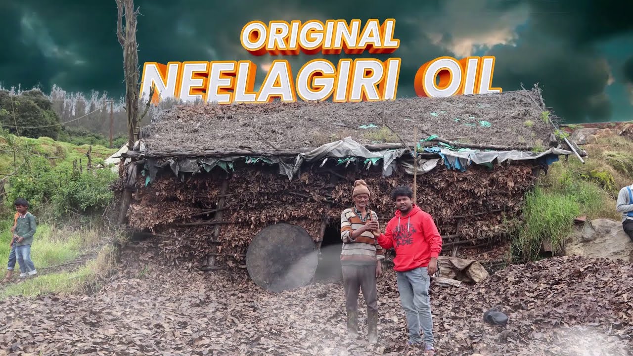 😵‍💫Original நீலகிரி தைலம் இப்படிதான் செய்ராங்களா🏭 - Nilgiri Eucalyptus oil Making💤
