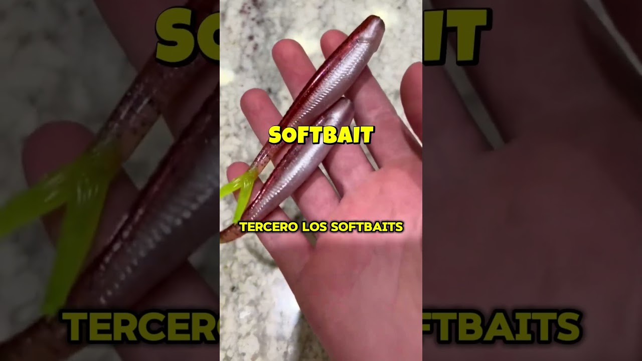 Los 3 SE&Ntilde;UELOS DE PESCA para MAR o RIO mas usados #pesca #se&ntilde;uelos #se&ntilde;uelosdepesca