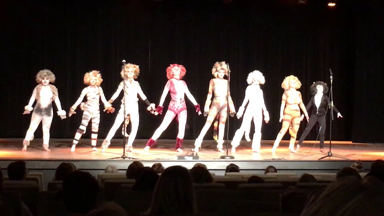Cats Medley - Limelight Performing Arts 2017 NYA