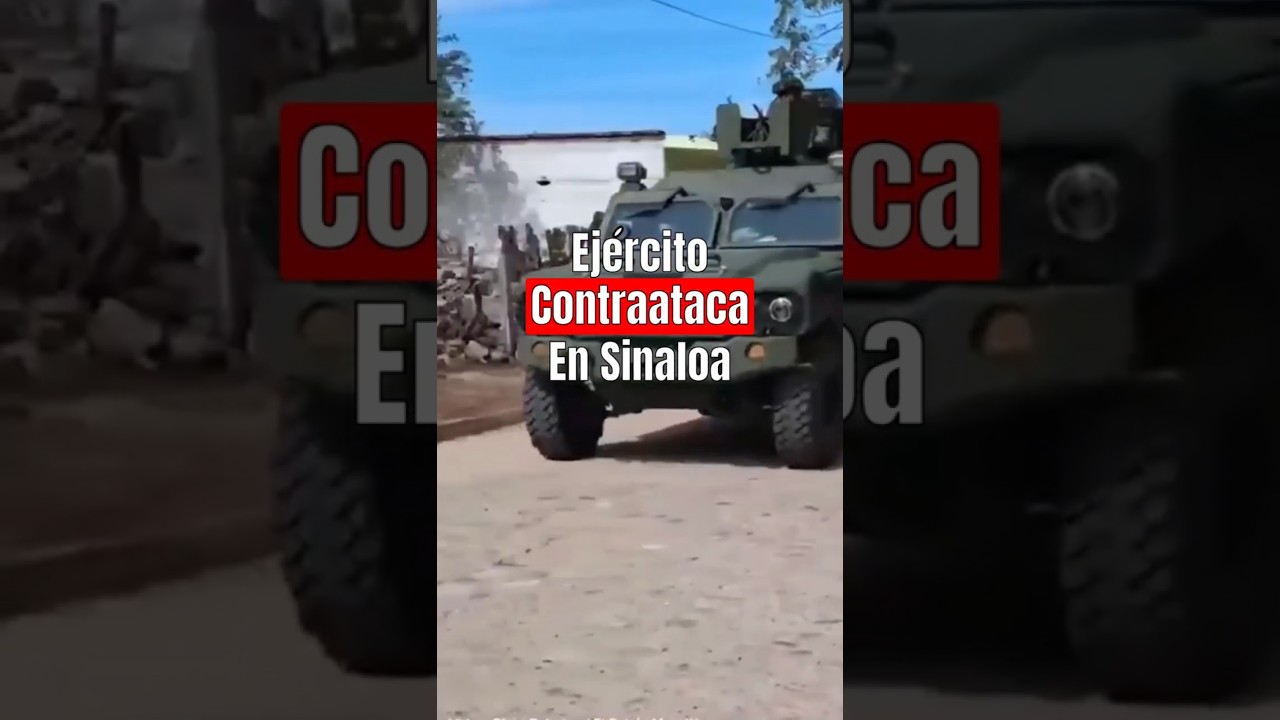 Operativos Masivos Contra Chapitos Y Mayos En Sinaloa