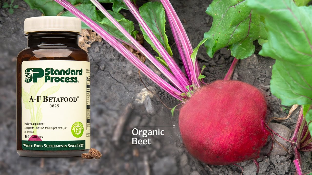 A-F Betafood&reg; by Standard Process