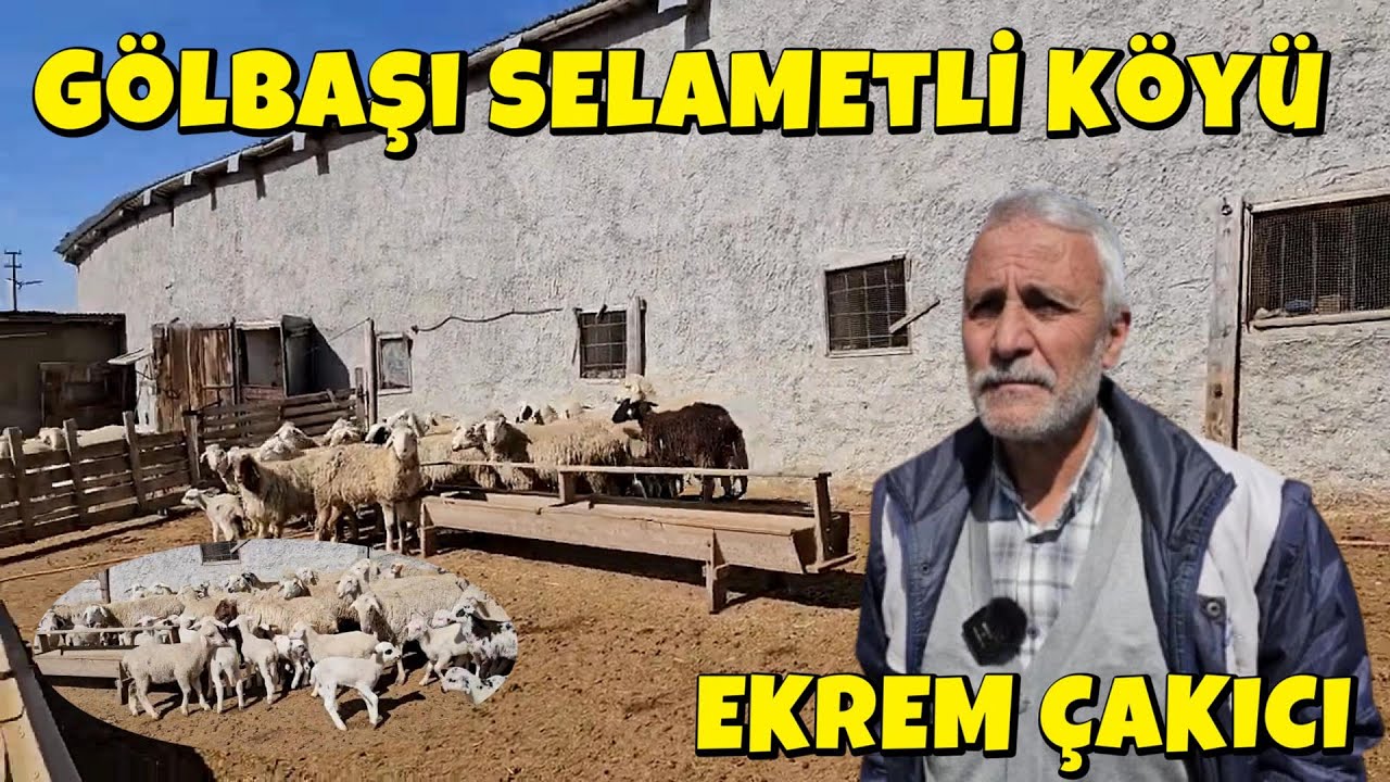 GÖLBAŞI SELAMETLİ KÖYÜ EKREM ÇAKICI