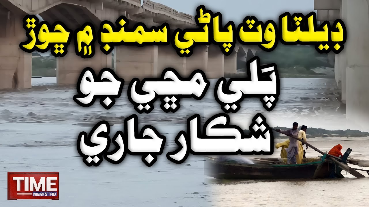 Indus Delta Wat Pani Chorr | Time News HD