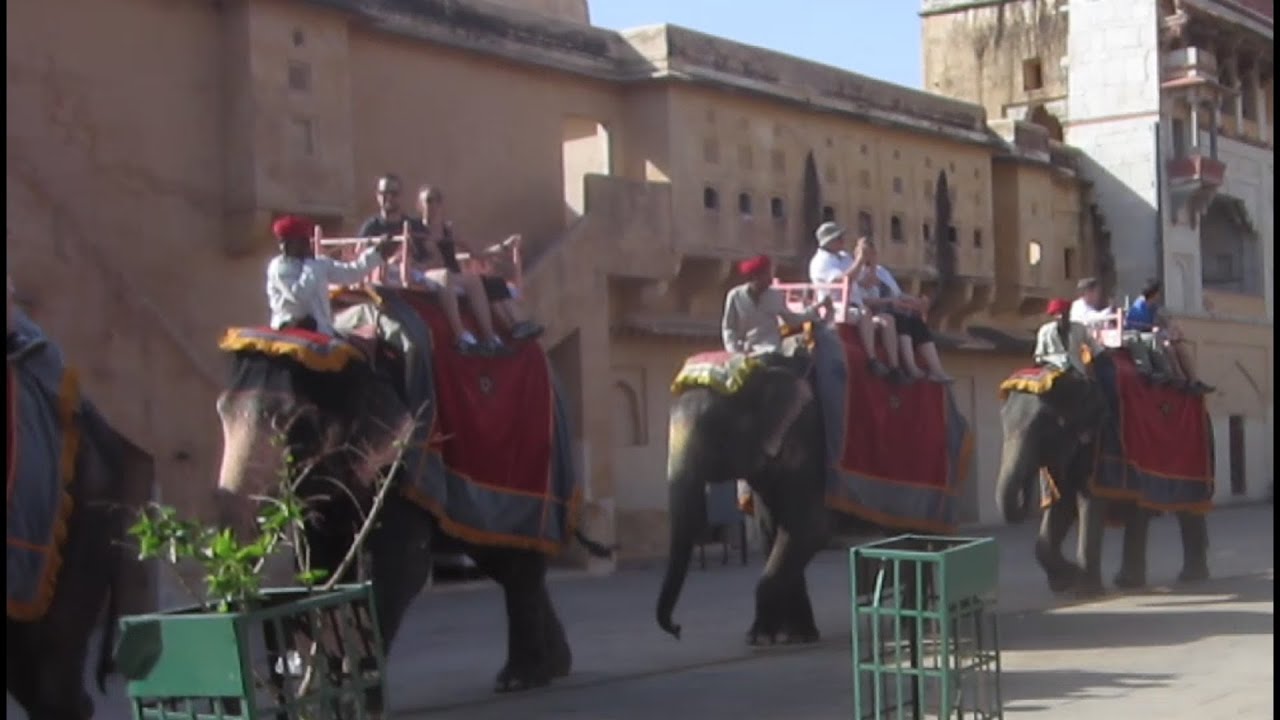 Elephant ride Amber fort Jaipur India