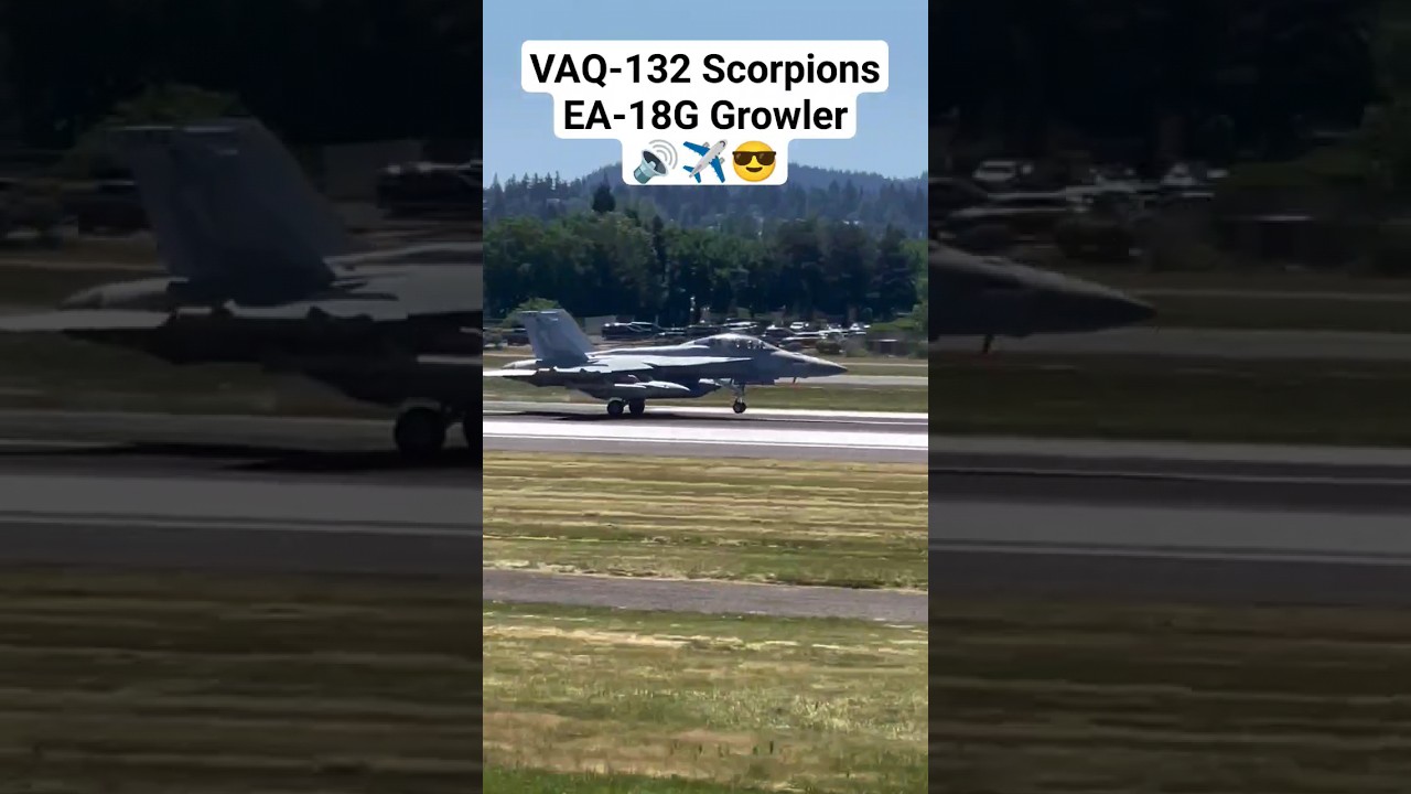 VAQ-132 Scorpions Electronic Attack Squadron EA-18G Growler 🔊✈️😎 #aviation #fighterjet #shorts