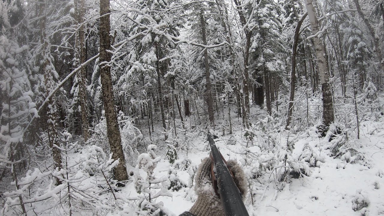 Tracking a Big Maine Buck on Snow | He Tries to Lose Me In a Stream & How I Pick The Track Up Again