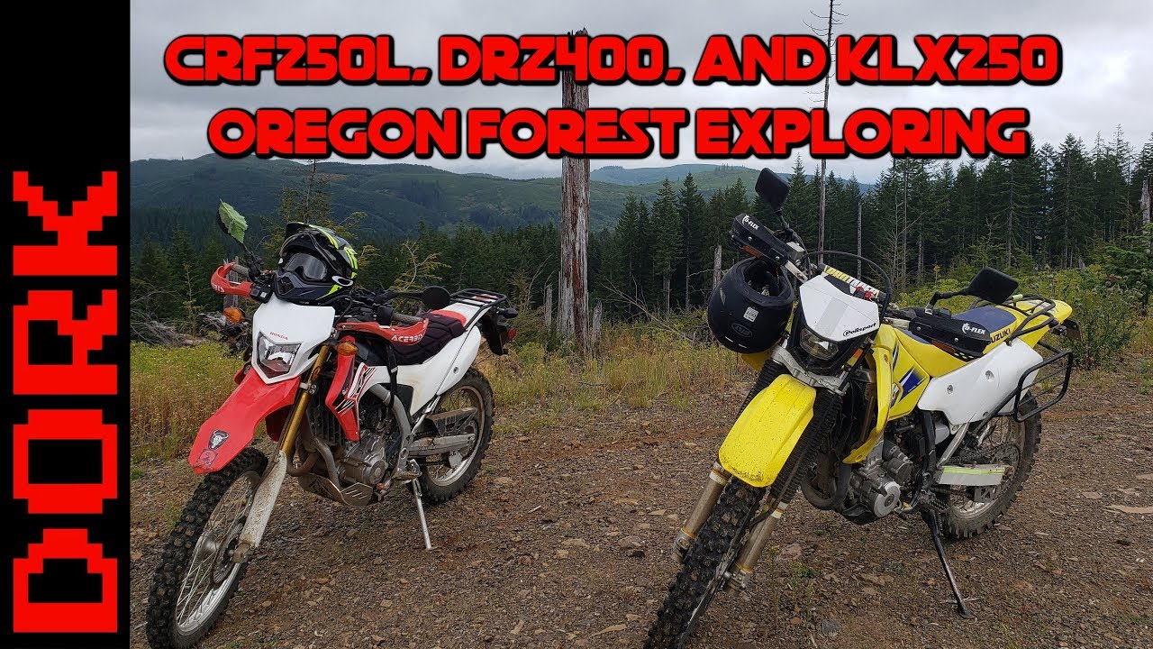 Honda CRF250L, Suzuki DRZ400, and Kawasaki KLX250 Dual Sport Adventure Exploring Logging Roads