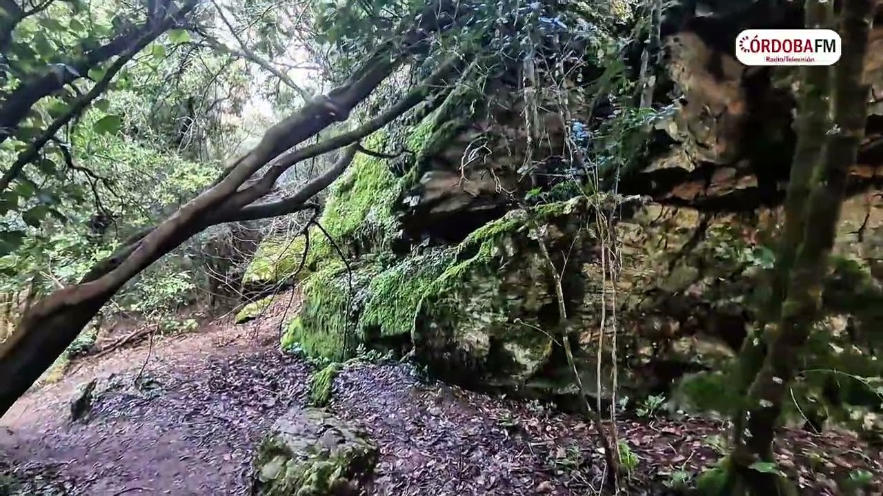 Espectaculares imágenes ds los Baños de Popea tras la últimas semanas de intensa lluvia
