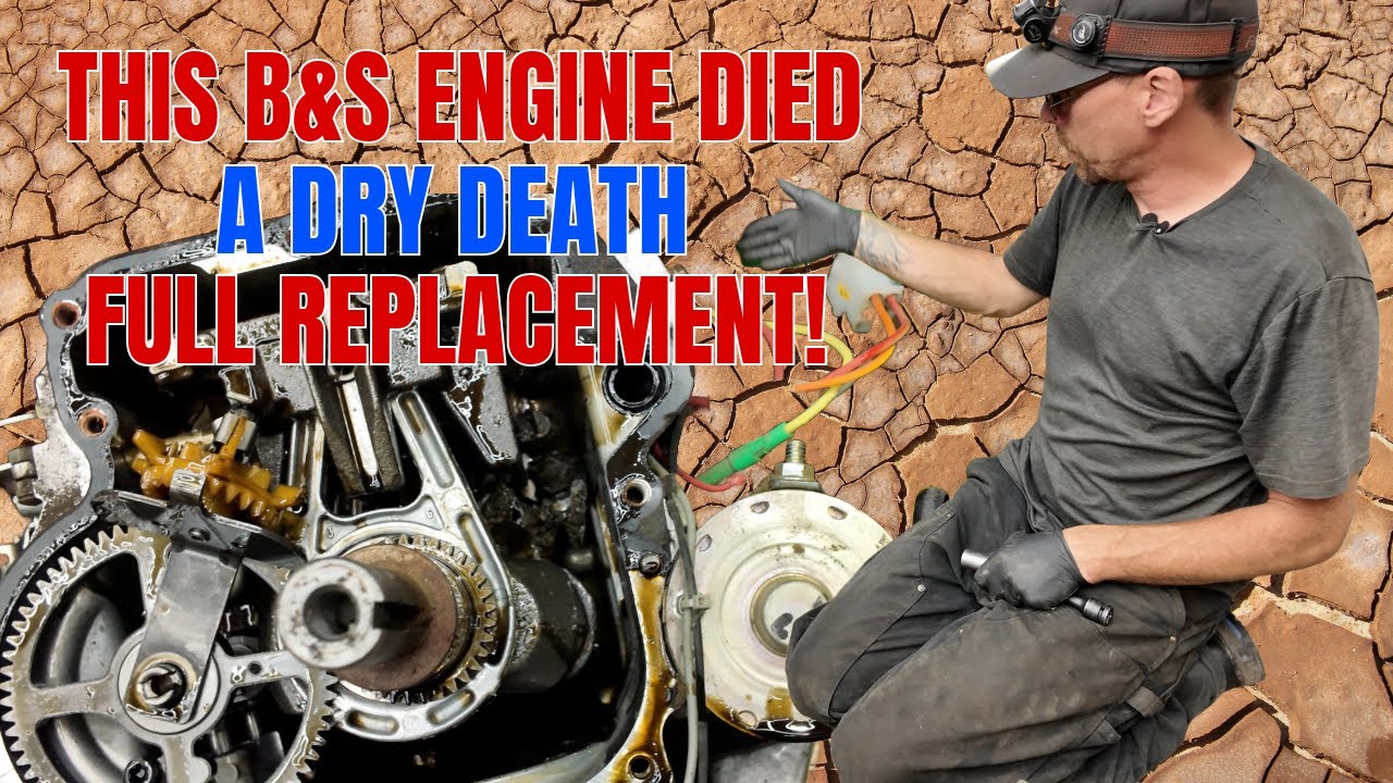 This B&S Engine Died a Dry Death - Full Replacement!