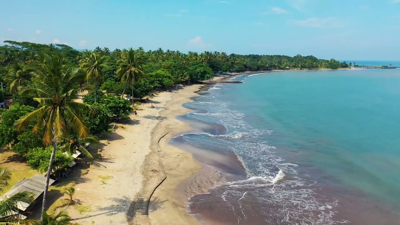 Video Background Beach Sea Waves Coconut Trees High Angle