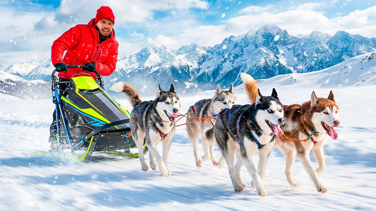 EU SEMPRE QUIS FAZER ESSE PASSEIO * Lobos da Neve *