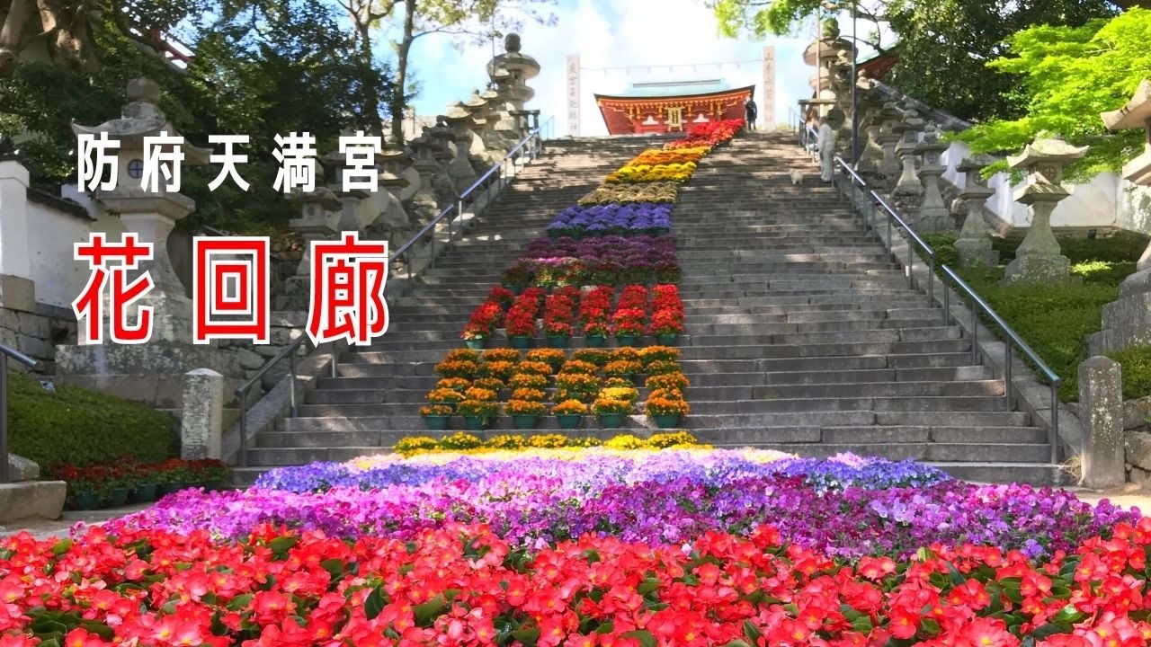 今年も花回廊が始まりました！『虹の架け橋』