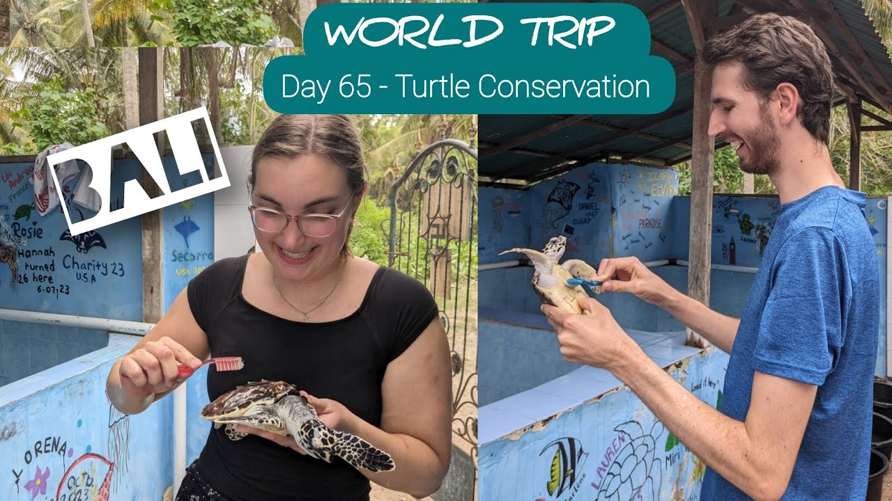 🛫 BALI! 🌏 Day 65 &ndash; Nusa Penida &ndash; Turtle Conservation Volunteering, IVHQ