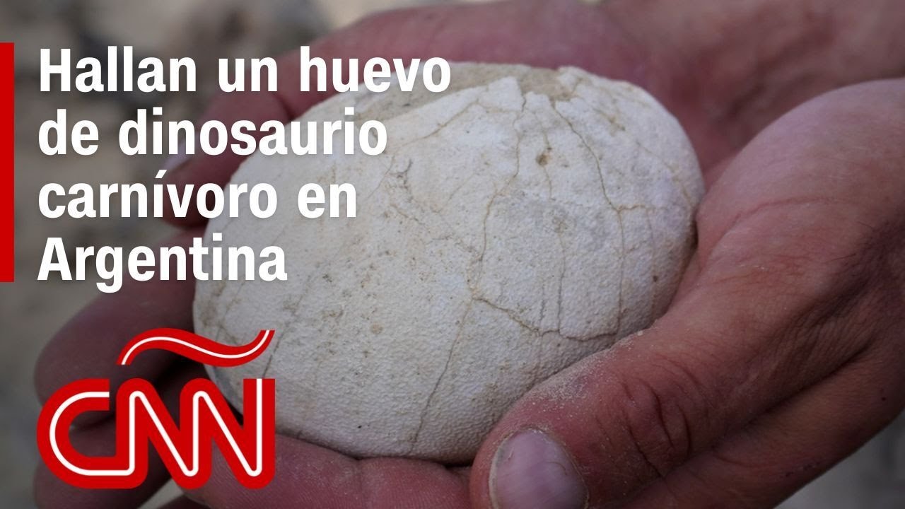Científicos argetinos descubren un huevo de dinosaurio en la Patagonia