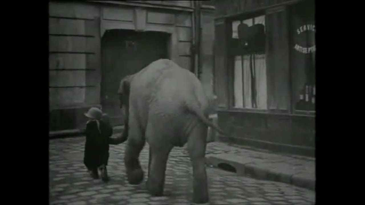 『ブー・ド・ザン、象を盗む』Bout-de-Zan vole un éléphant (1913) dir. Louis Feuillade [Japanese Subtitles]