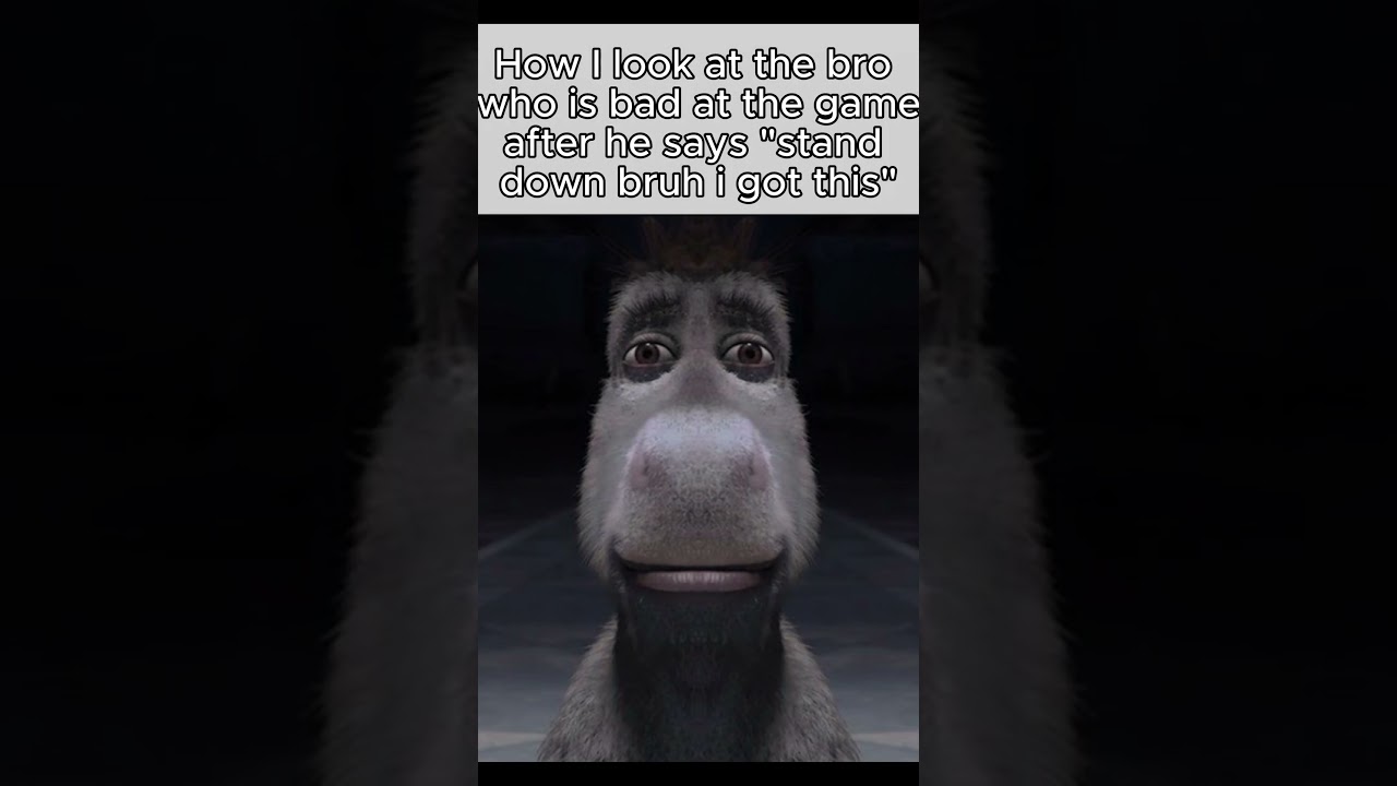 Donkeh            #memes #meme #donkey #shrek #shorts #funny #deathstare