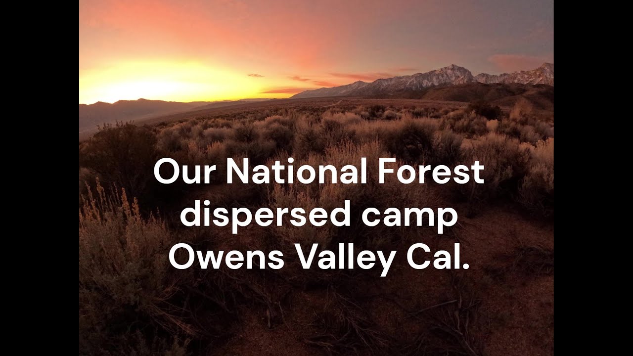 Dispersed campsite National Forest land, California #camping #outdoors #photography #photooftheday