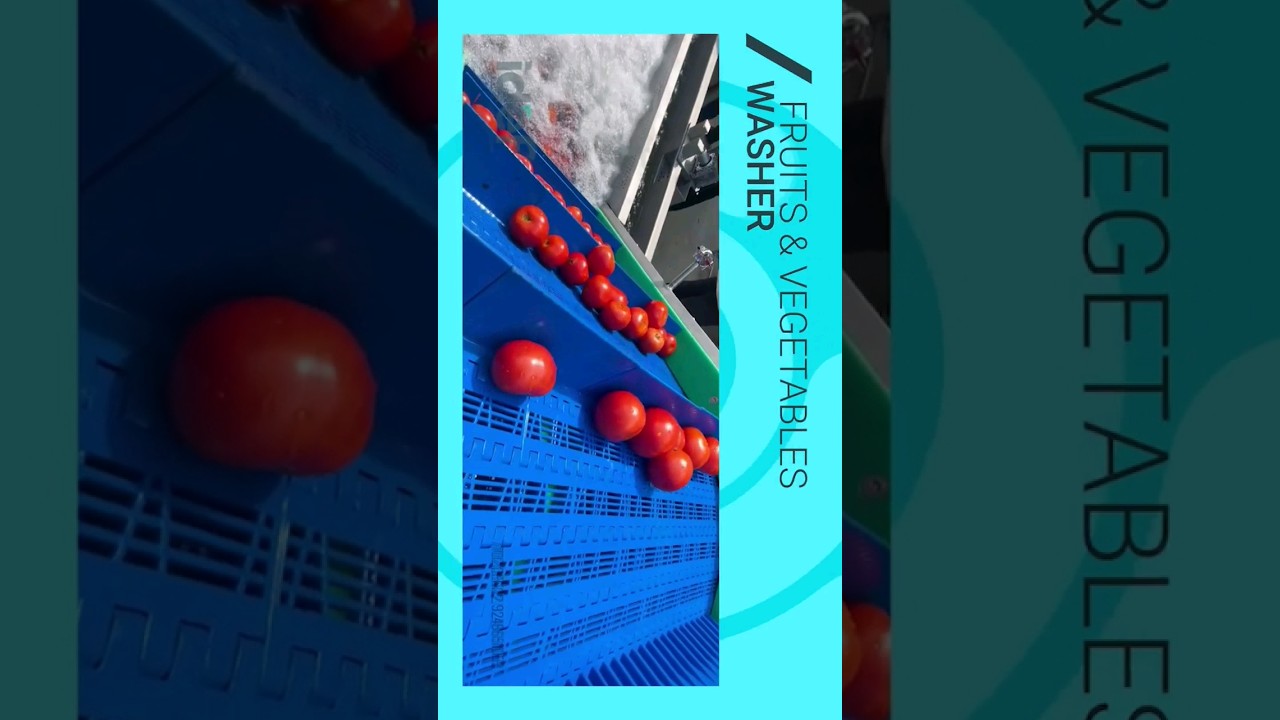 Fruits & Vegetables Washing Line #vegetablewasher #bubblewasher
