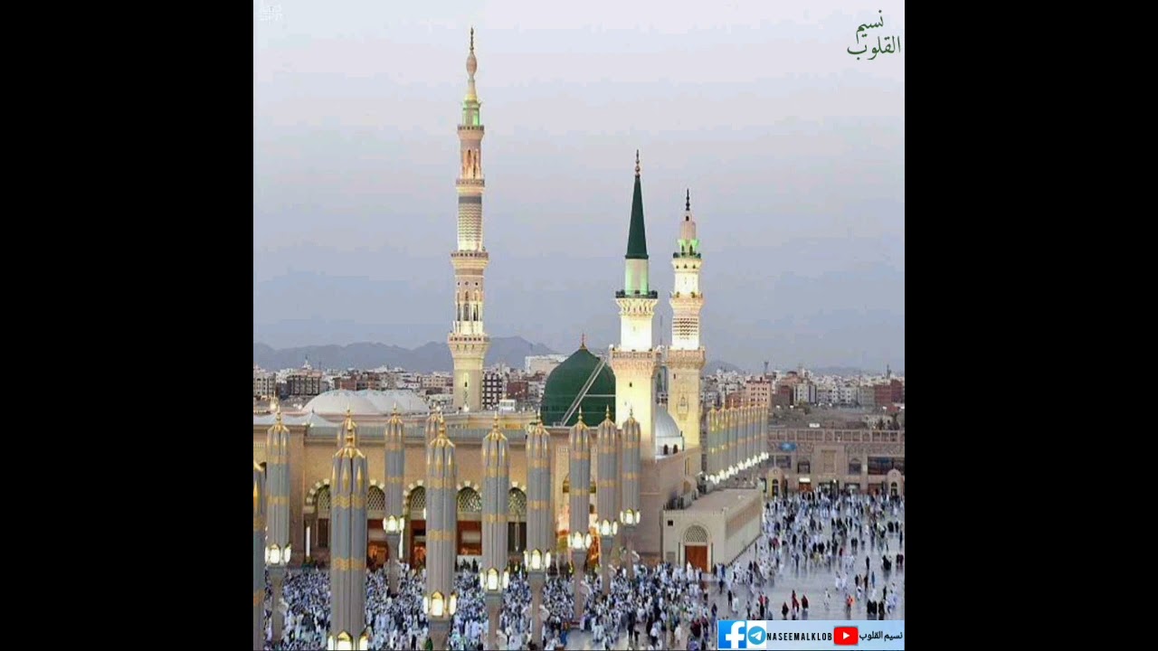 حضرة 2 هيموني تيموني عن سواهم اشغلوني  {جامع الكريمية في حلب} @نسيمالقلوب-ر8ك