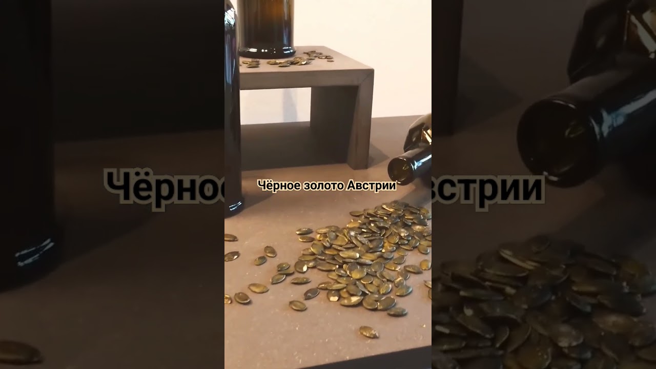Тыквенное  масло или чёрное золото Австрии делают в Штирии. приглашаю посетить производство. Ваш гид