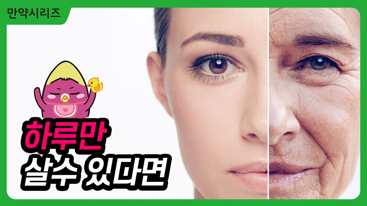🍠 만약 우리가 하루 밖에 살지 못한다면? (feat. 하루살이)