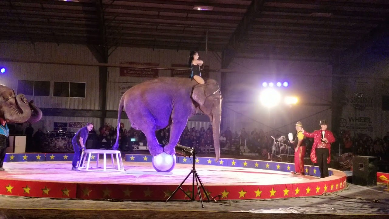 Loomis Bros Circus