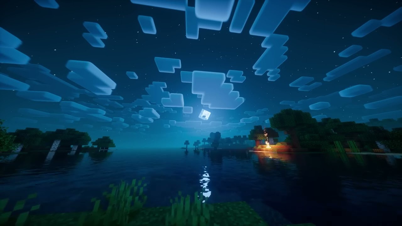 Minecraft | Starry Night Wave Ambience and Music 🌕 [relax and sleep]😴